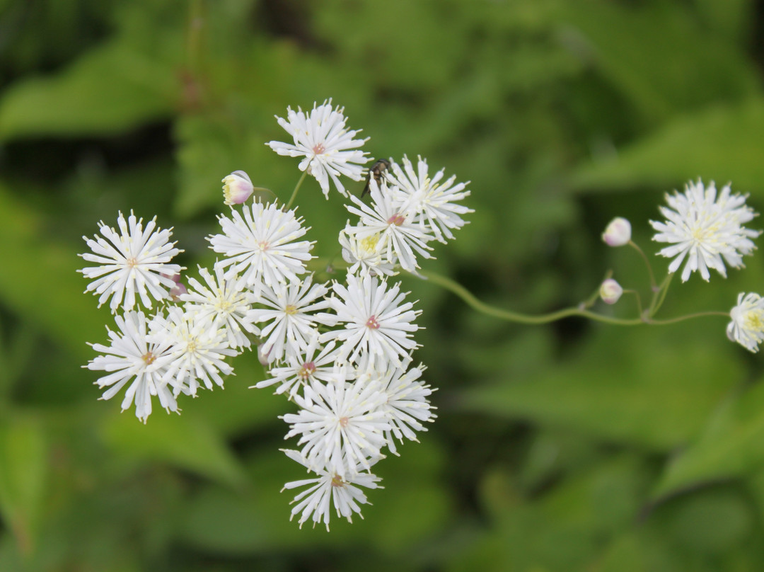 灵山自然风景区-北京市必去景点