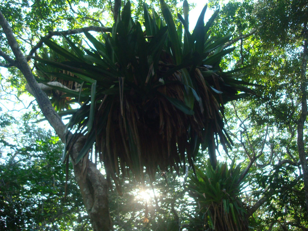 Praia Taipu de Fora-Marau必去景点