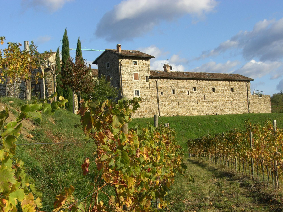 Ronchi di Sant'Egidio景点图片