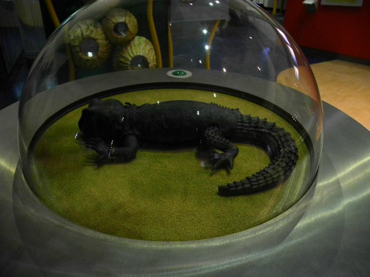 迪拜儿童城-迪拜必去景点