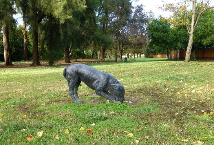 Davis Greenbelt-戴维斯必去景点