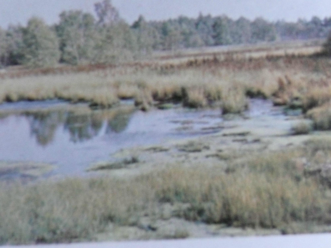 SOOS National Nature Reserve景点图片