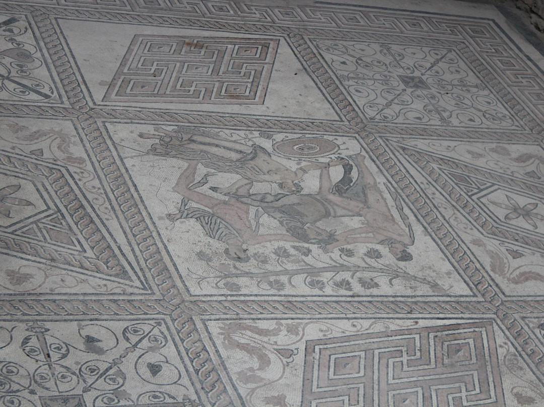 Floor mosaic The Punishment of Dirce-普拉必去景点
