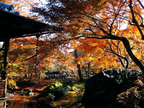 宝严院-京都市必去景点