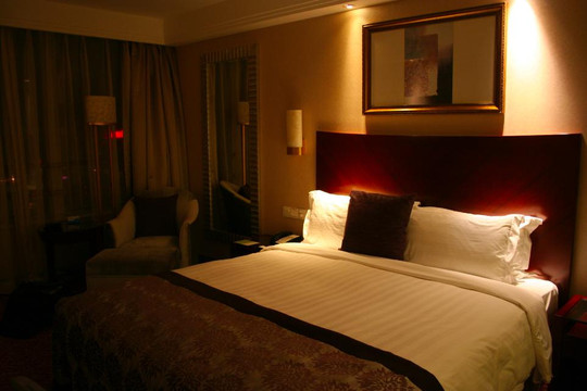 上海新世界丽笙大酒店主图