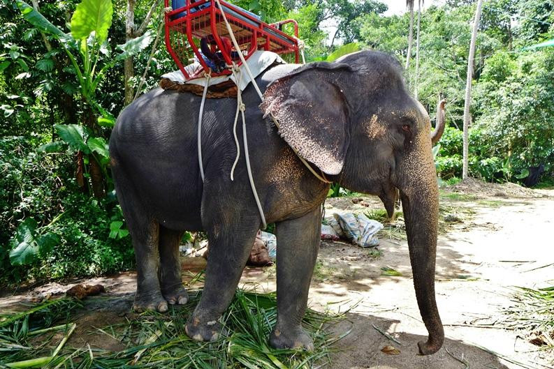 南门瀑布-苏梅岛必去景点