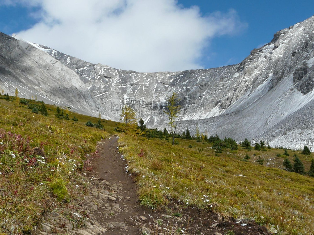 Ptarmigan Cirque Trail-卡那那斯基斯必去景点