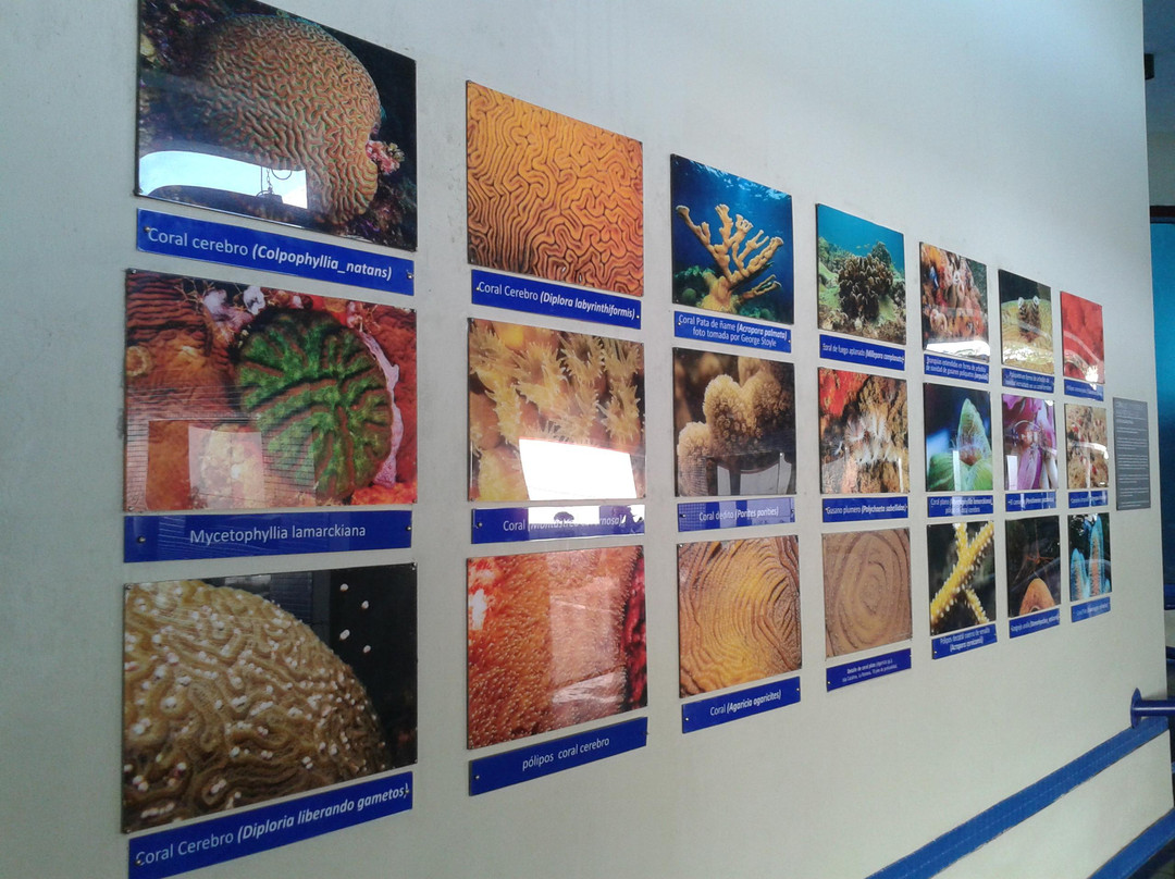 National Aquarium-圣多明哥必去景点