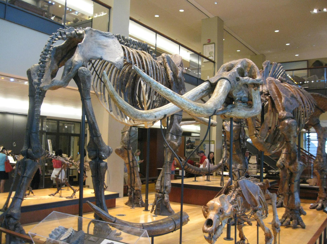 Amherst College-艾姆赫斯特必去景点