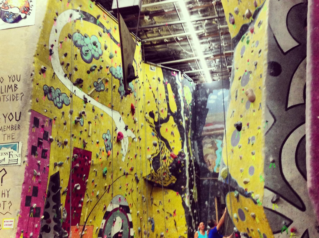 Phoenix Rock Gym-坦佩必去景点