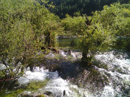 树正沟景点图片