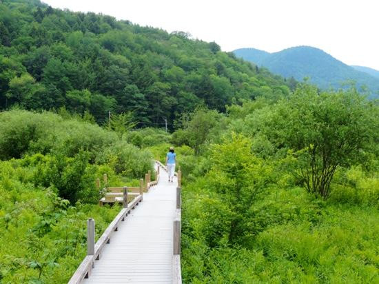 Thundering Brook Falls Trail-基灵顿必去景点