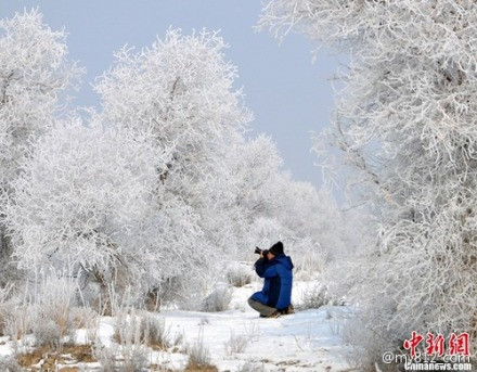 塔里木河景点图片