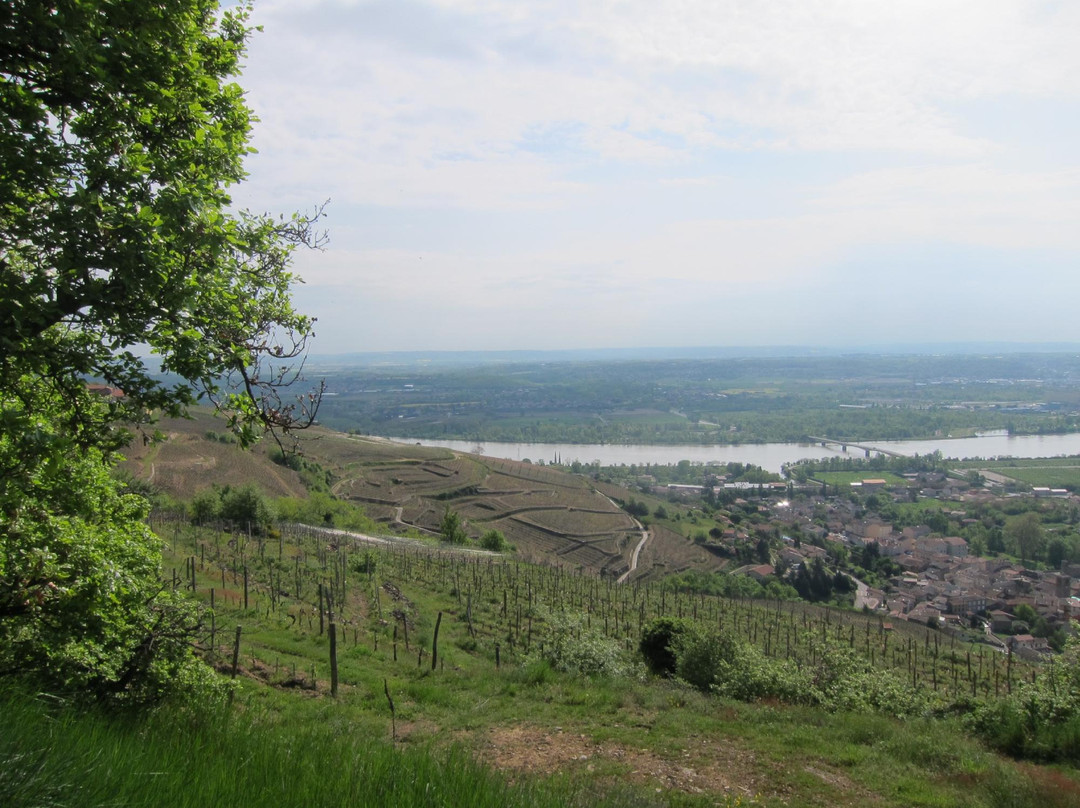 Rhone Wine Tours-尼永必去景点