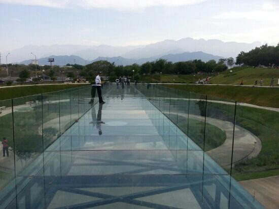 芬迪多拉公园-蒙特雷必去景点