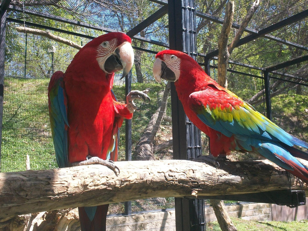 Expedición Amazonia-蒙特雷必去景点