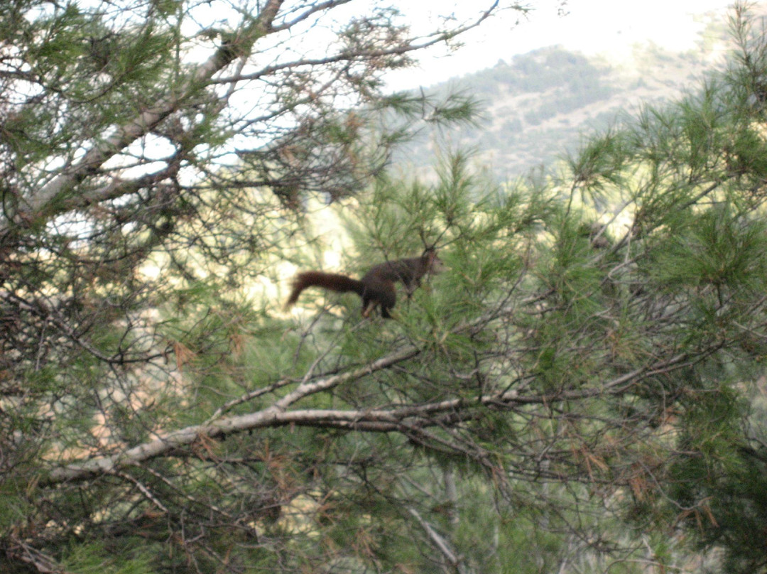 Parque Natural Sierra Magina-Albanchez de Magina必去景点