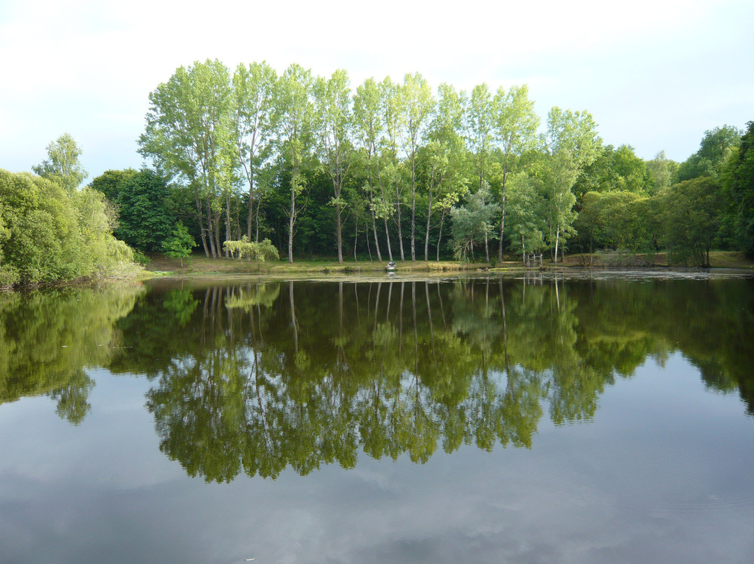 Lakeside Bed and Breakfast主图