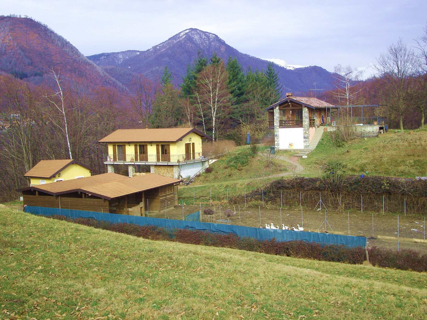 Agriturismo Chiara-官方