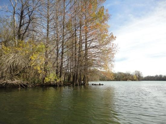 柏德女士湖越野骑行-奥斯丁必去景点