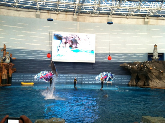 大连海洋乐园主图