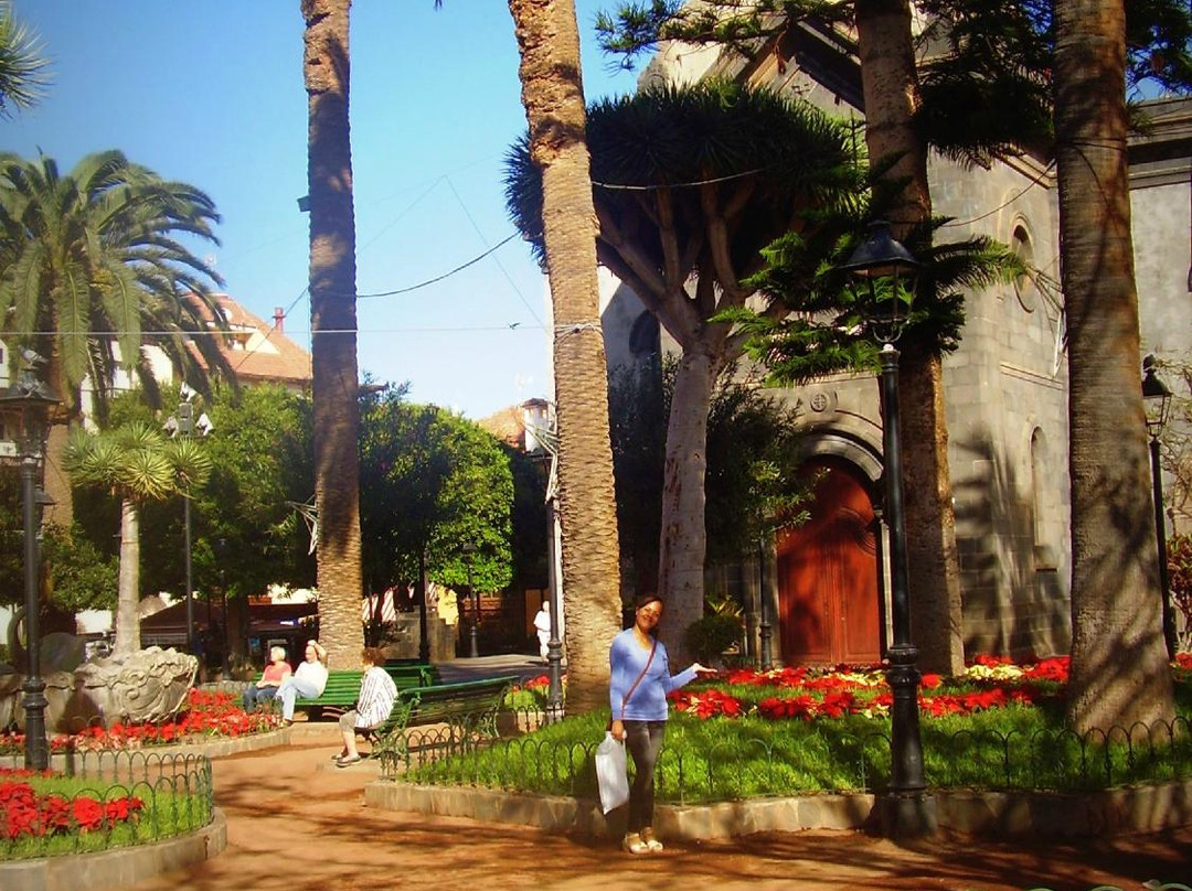 Tenerife Sunshine Excursions-洛斯克里斯蒂亚诺斯必去景点