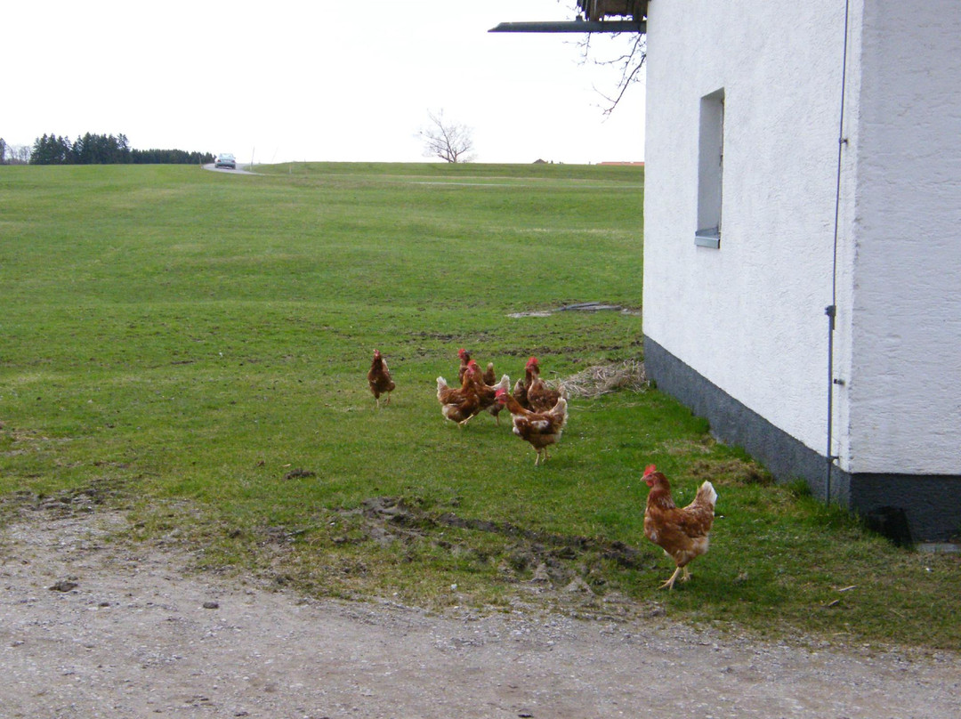 Bauernhof Stroblbauernhof主图