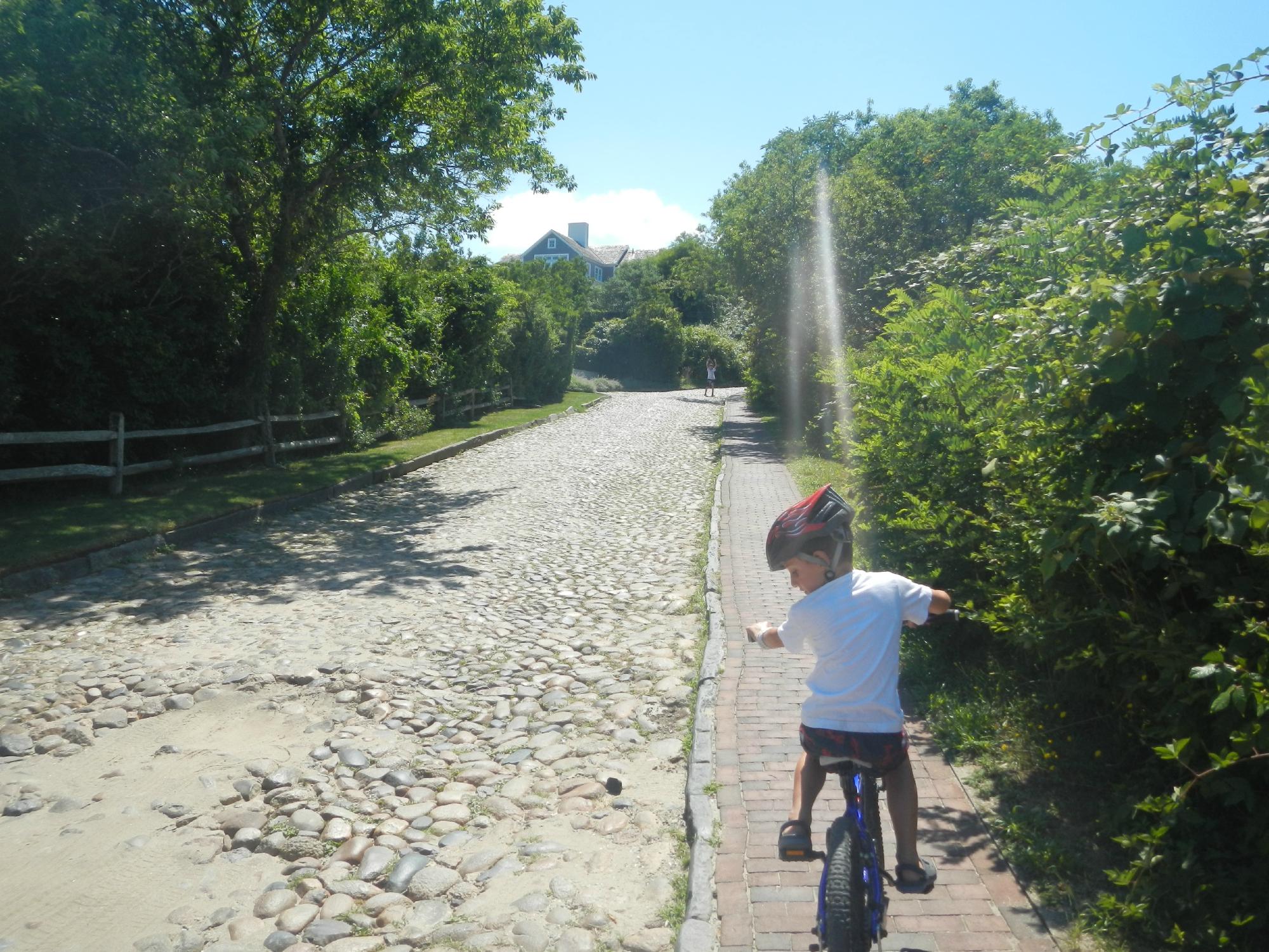 Chestnut House-客卧