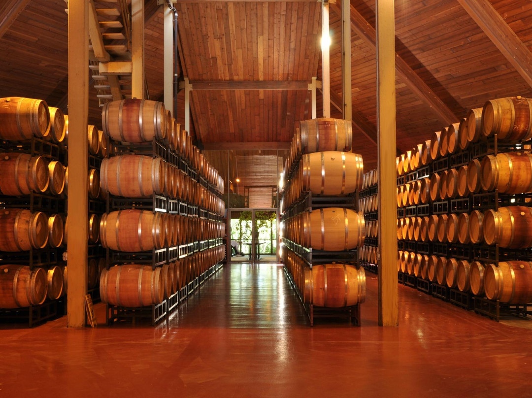 Chappellet Winery景点图片