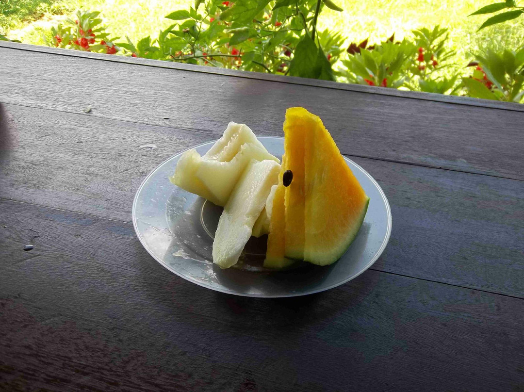 MARDI Langkawi Agro Technology Park景点图片