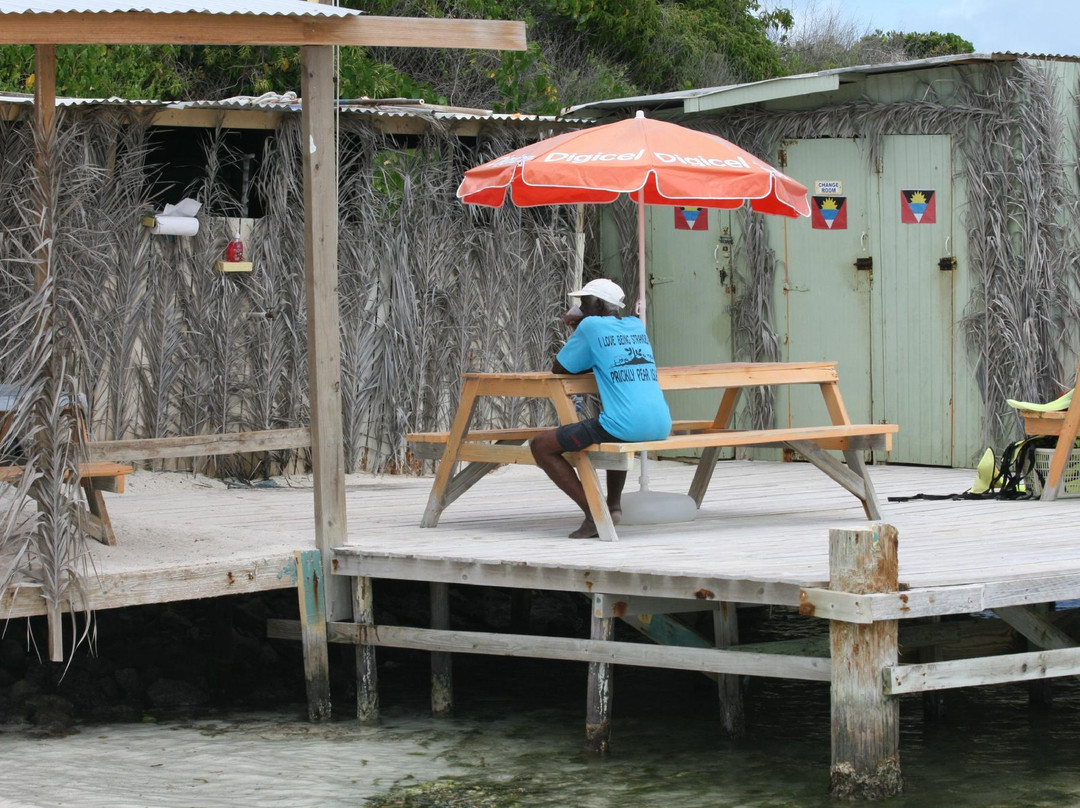 Miguel's Holiday Adventure-圣 约翰必去景点