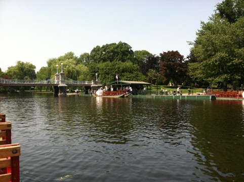 Swan Boats-波士顿必去景点