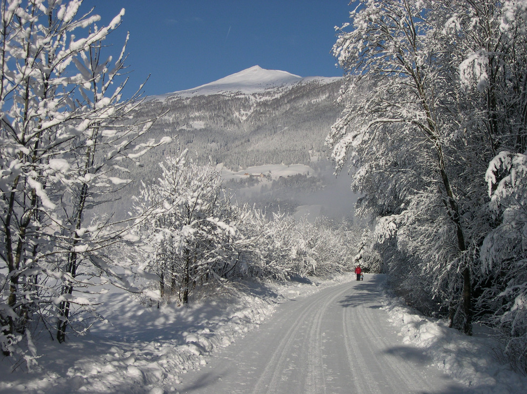 Landhotel Stofflerwirt主图