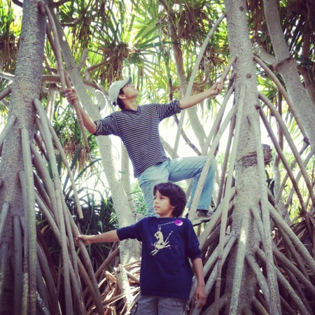 Fairchild Tropical Botanic Garden-科勒尔盖布尔斯必去景点