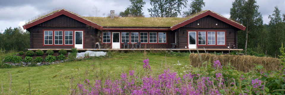 Virisen Lappland