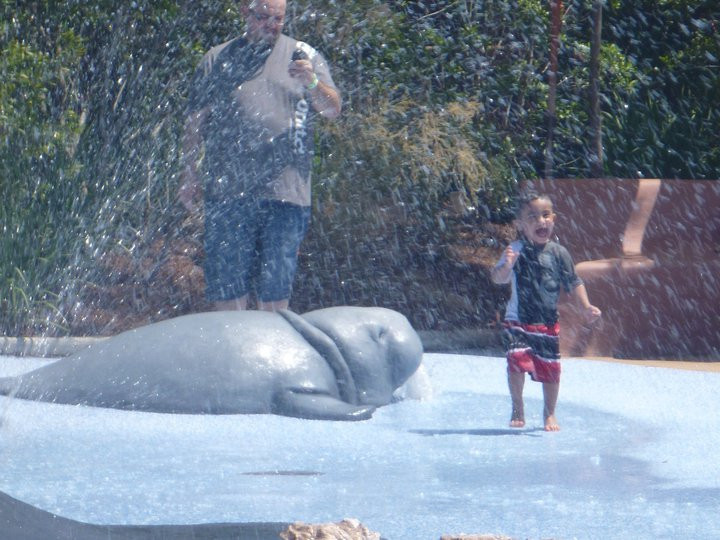 Jacksonville Zoo & Gardens-杰克逊维尔必去景点