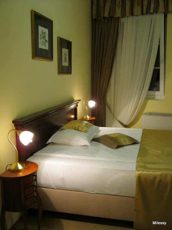 Garni Hotel Andric主图