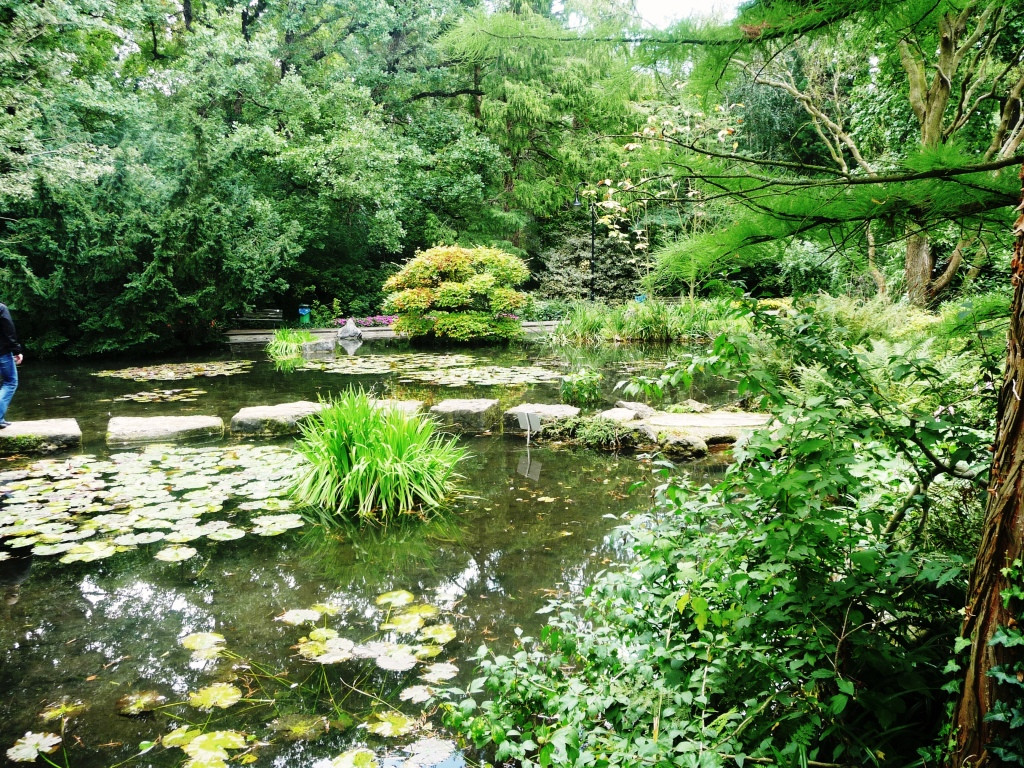 Japanischer Garten Leverkusen景点图片
