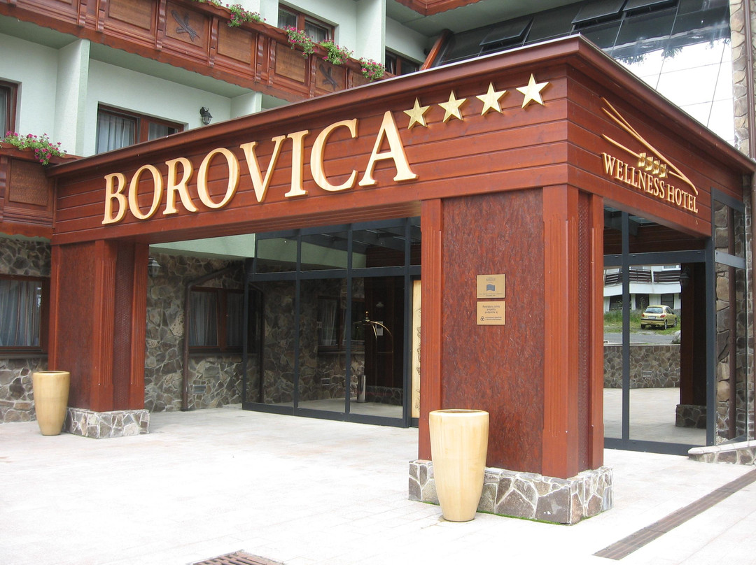 Strbske Pleso酒店住宿-Wellness Hotel Borovica