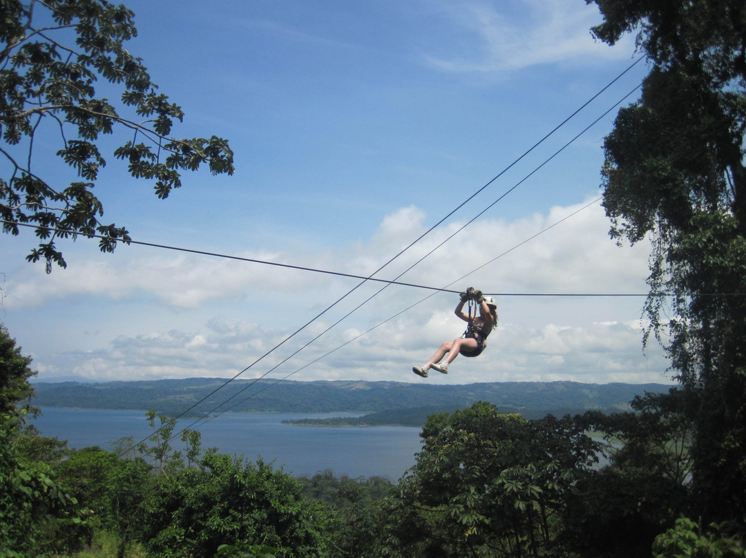 Sky Adventures - Arenal Park景点图片