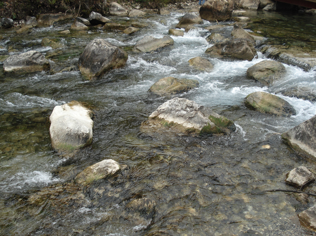 白水河-丽江市必去景点
