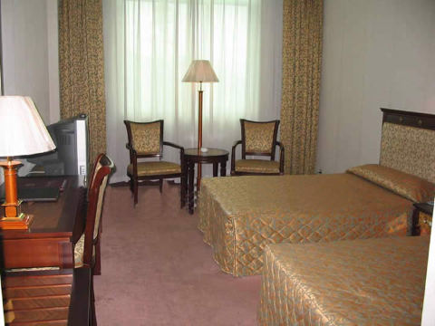 维也纳酒店(桂林万象城火车站店)-客卧