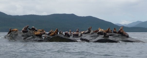 Gwaii Haanas National Park-Daajing Giids必去景点