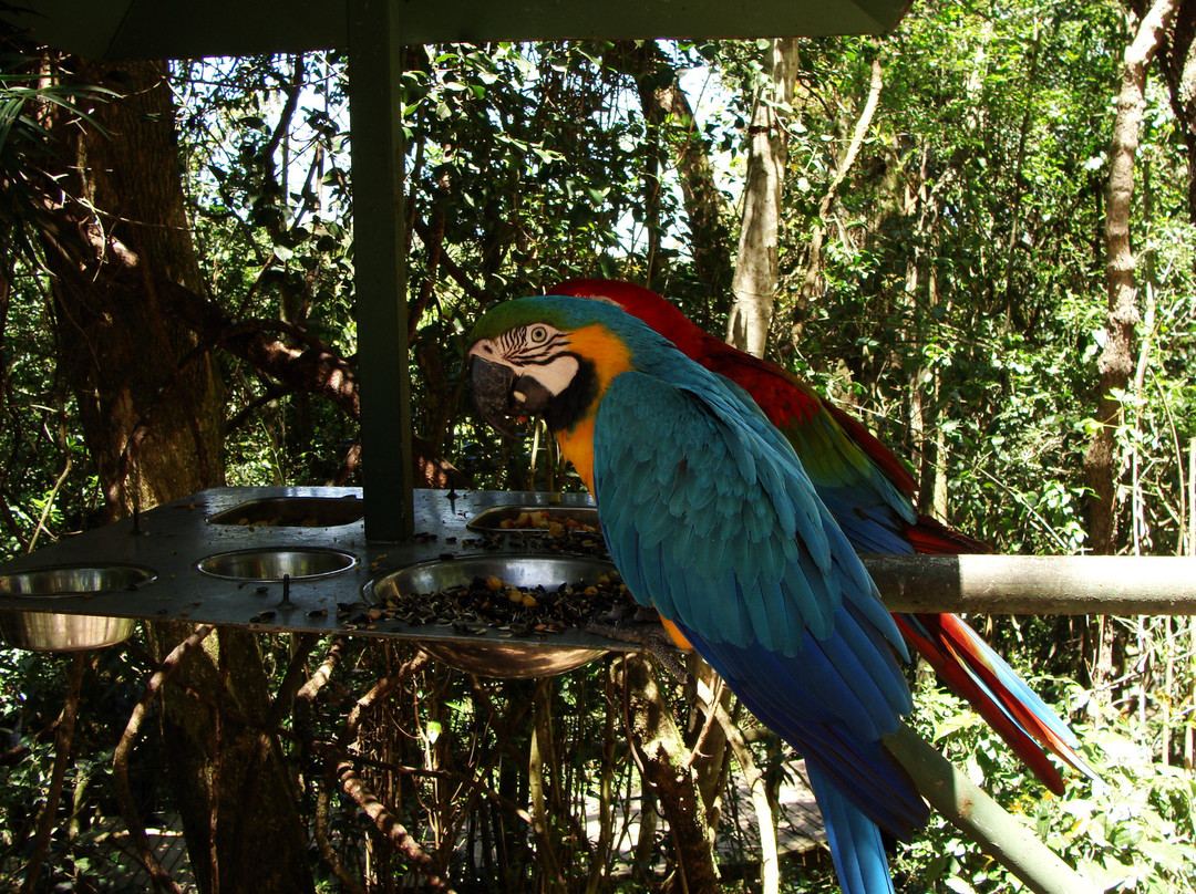 Birds of Eden-The Crags必去景点