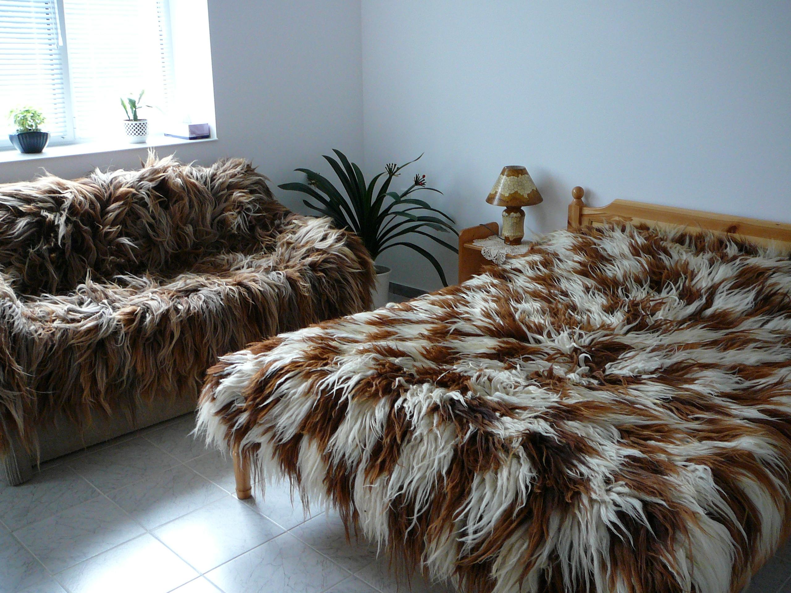 The Three Fir-Tree House-客卧