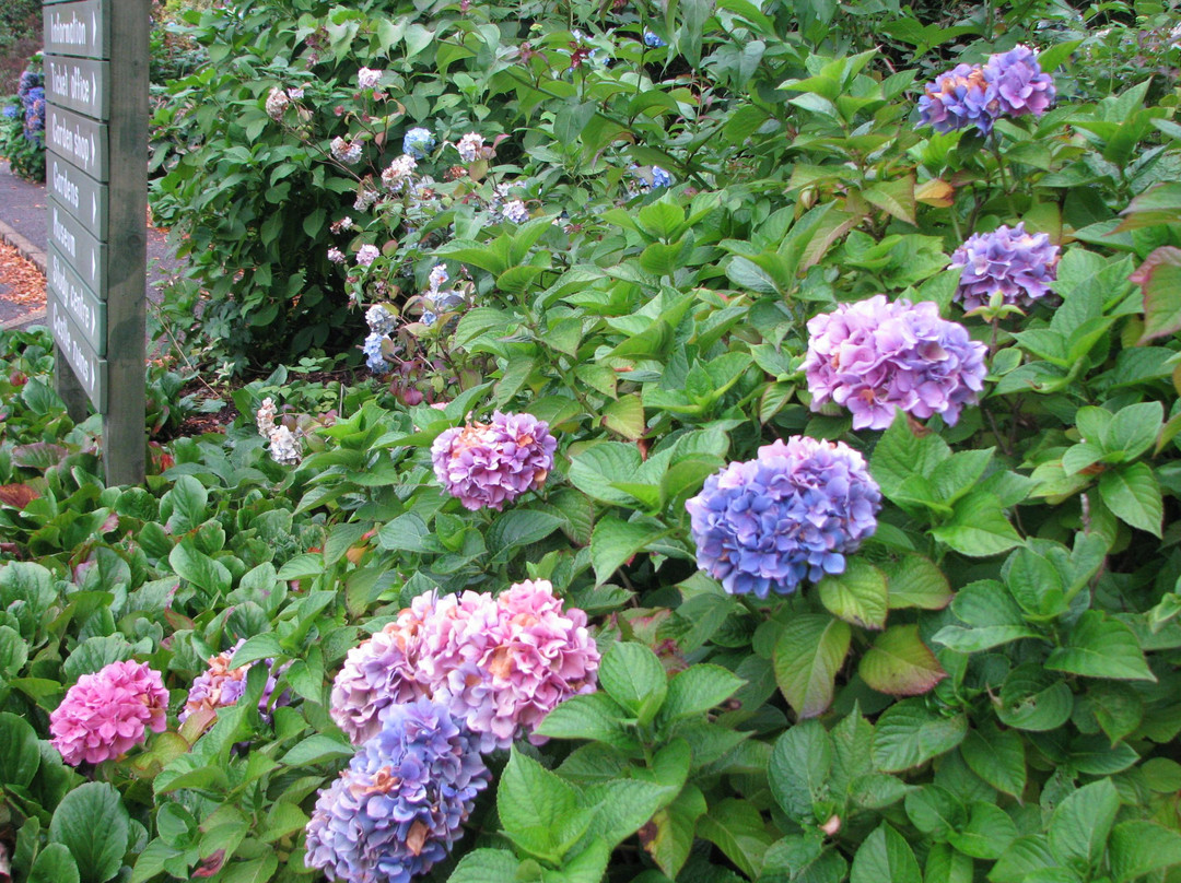 Armadale Castle, Gardens & Museum of the Isles-Armadale必去景点