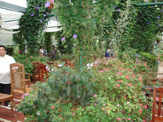 Sonya's Garden Spa-甲米地必去景点