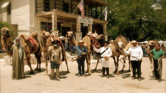 Camp Verde General Store景点图片