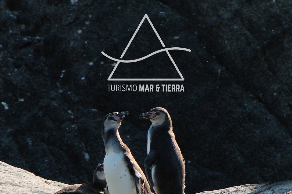 Turismo Mar y Tierra SpA