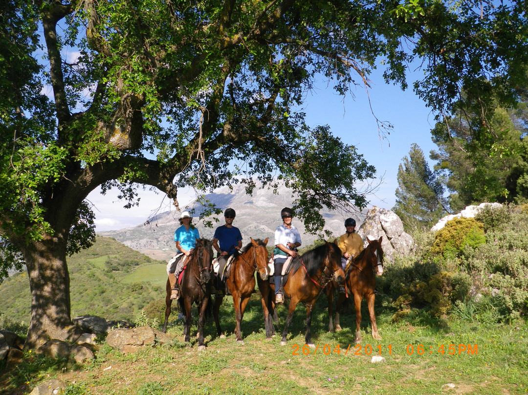 La Rejertilla Turismo Activo景点图片
